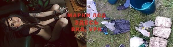 спайс Алзамай