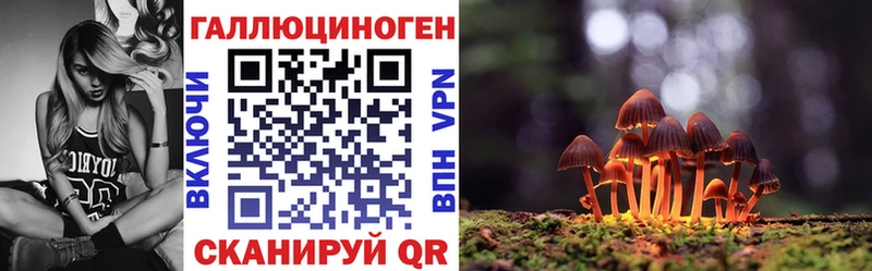 hydra как зайти darknet формула Псилоцибиновые грибы мухоморы Пласт